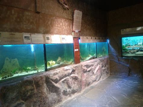 le roc des curiosités musée & aquarium